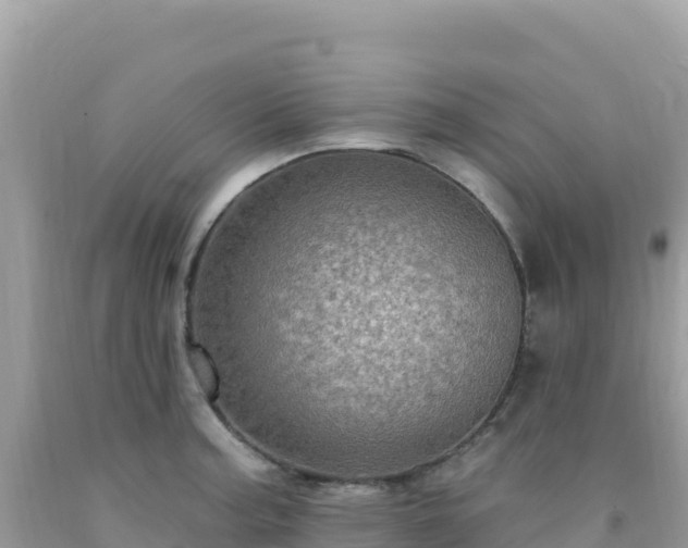 X0000092031187200709131613