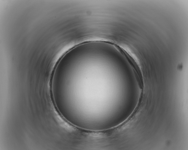 X0000092031189200709131613
