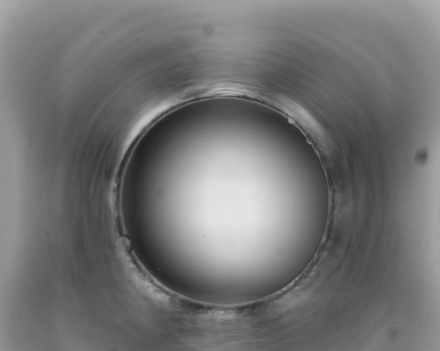 X0000092031190200709131613