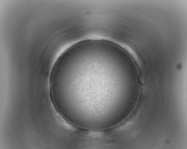 X0000092031191200709131613