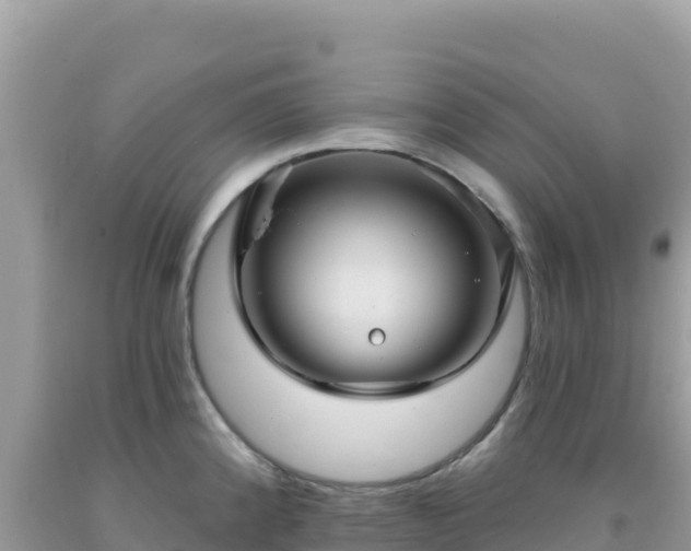 X0000092031192200709131613