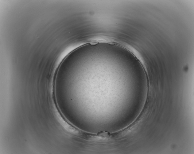 X0000092031195200709131613