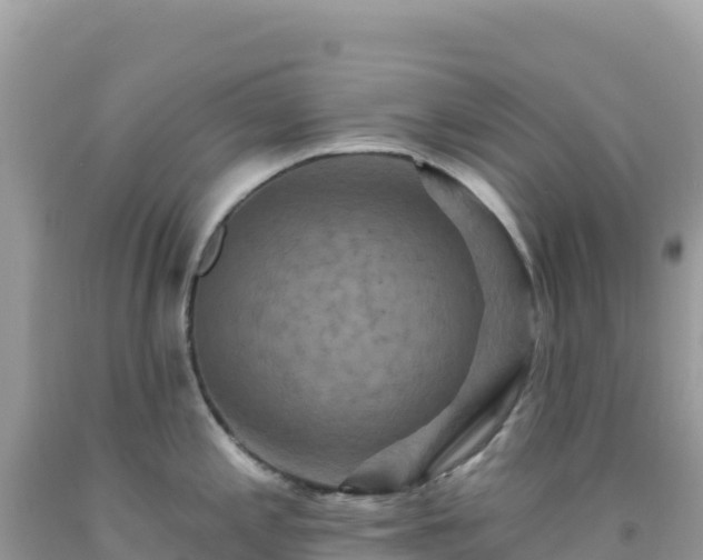 X0000092031197200709131613