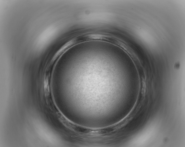 X0000092031198200709131613