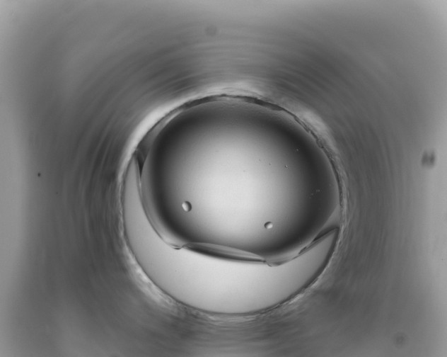 X0000092031200200709131613
