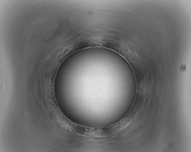 X0000092031201200709131612