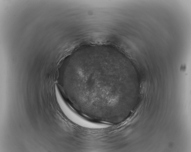 X0000092031202200709131612