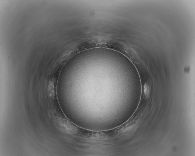 X0000092031203200709131612