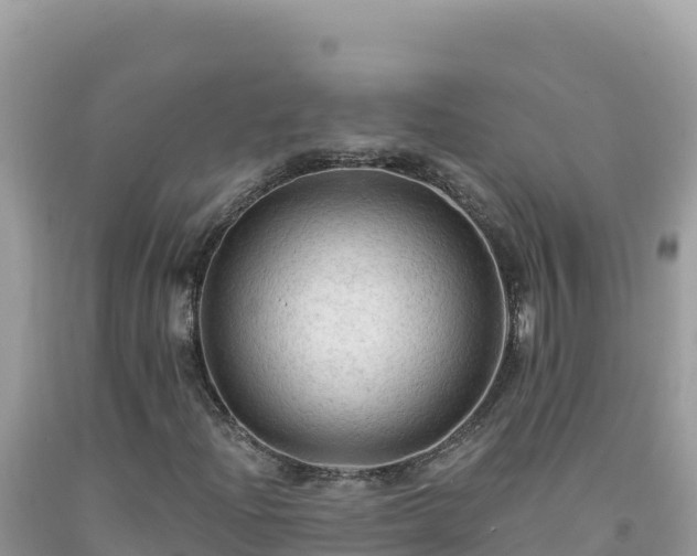 X0000092031204200709131612