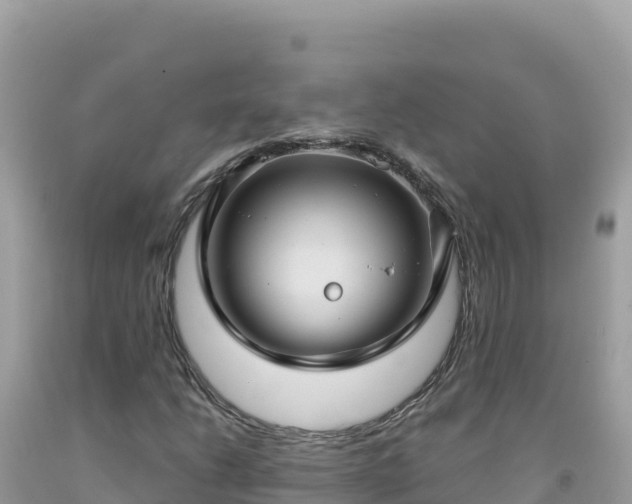 X0000092031206200709131612