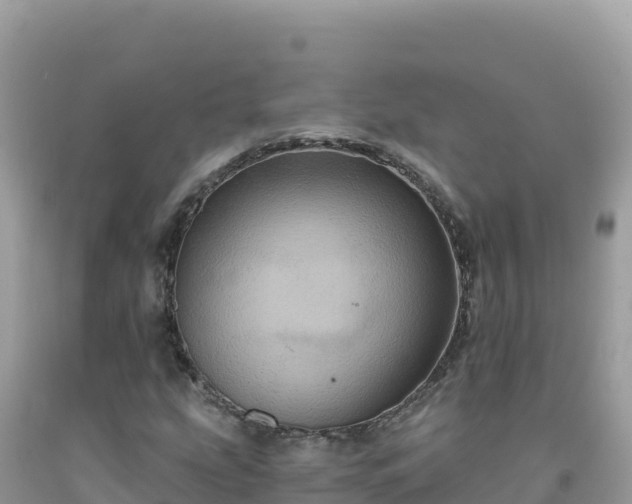 X0000092031207200709131612