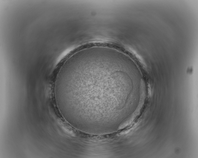 X0000092031208200709131612