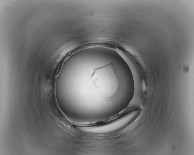 X0000092031210200709131612