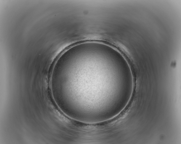 X0000092031212200709131612