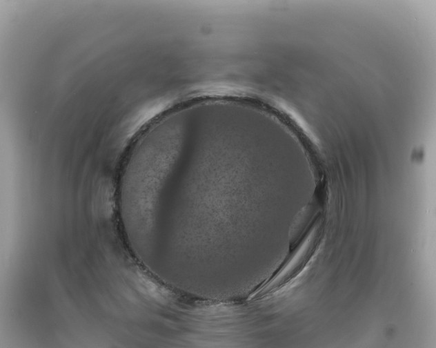 X0000092031213200709131612