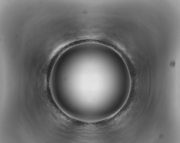 X0000092031214200709131612