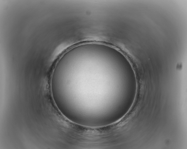 X0000092031215200709131612