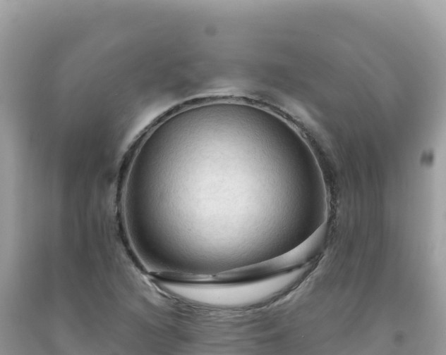 X0000092031216200709131612