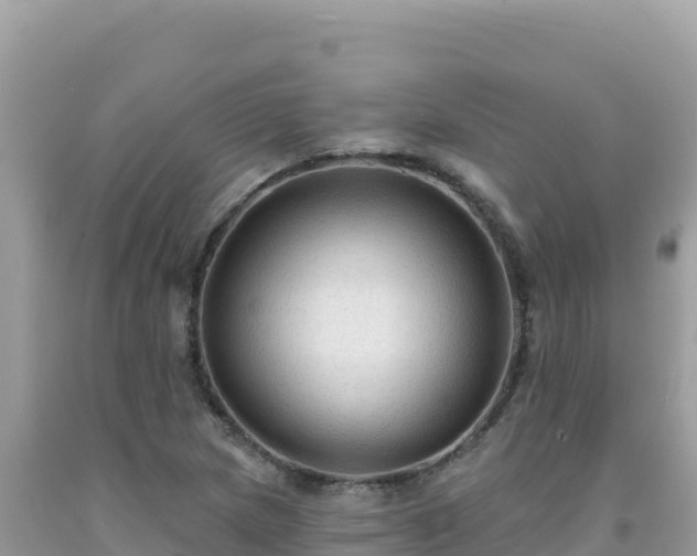 X0000092031217200709131612