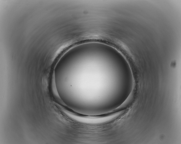 X0000092031218200709131612