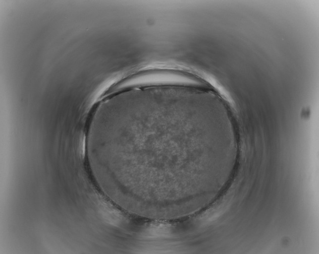 X0000092031221200709131612