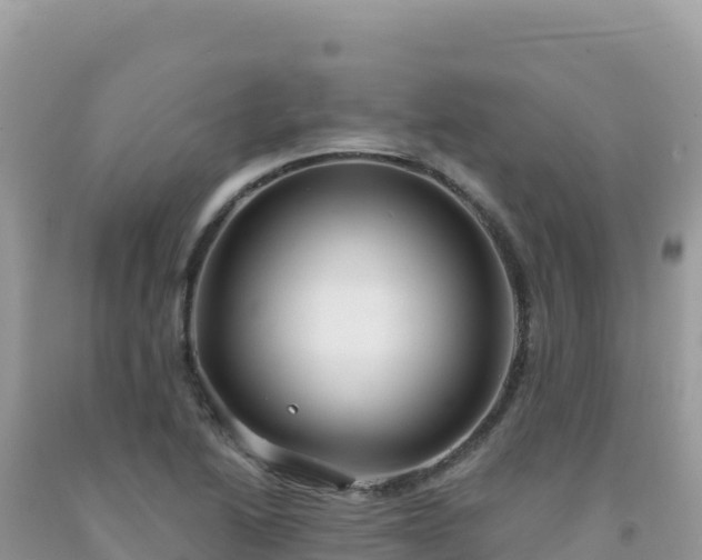 X0000092031222200709131612
