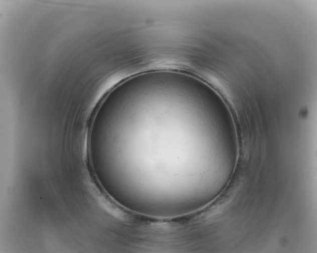 X0000092031227200709131612