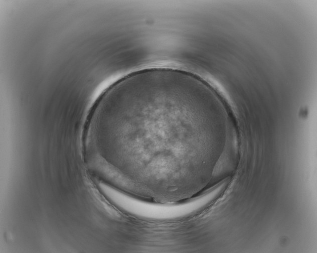 X0000092031230200709131612