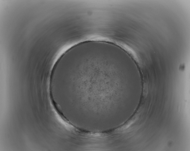 X0000092031231200709131612