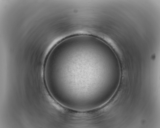 X0000092031232200709131612