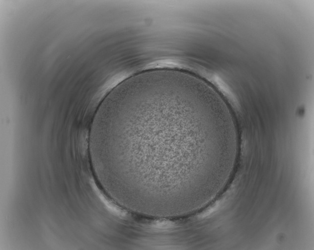 X0000092031233200709131612