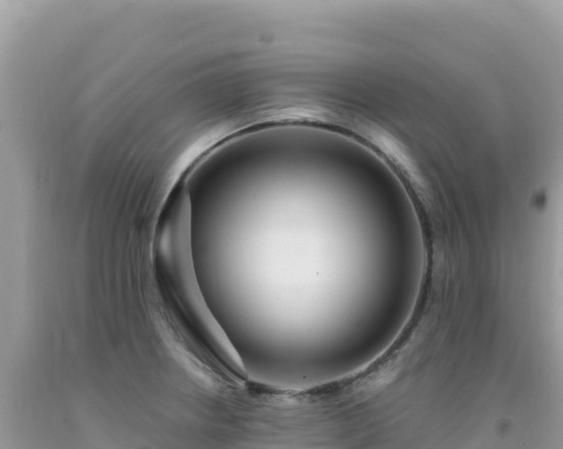 X0000092031234200709131612