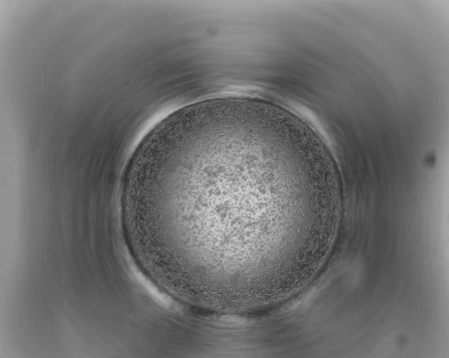 X0000092031235200709131612