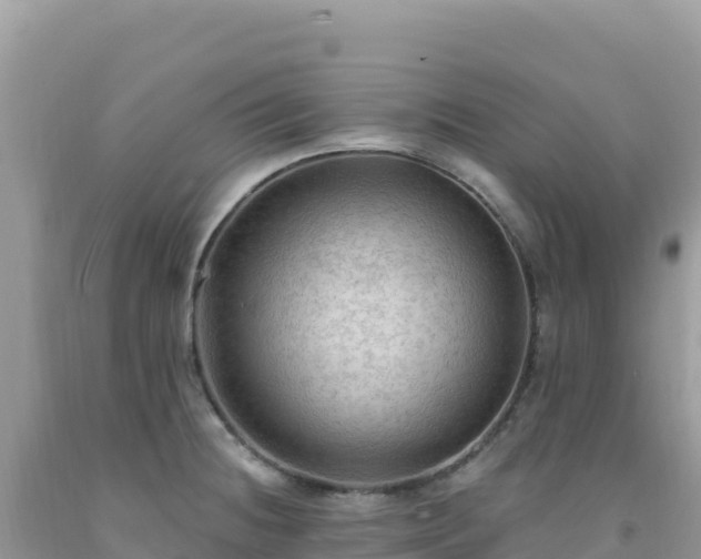 X0000092031236200709131612