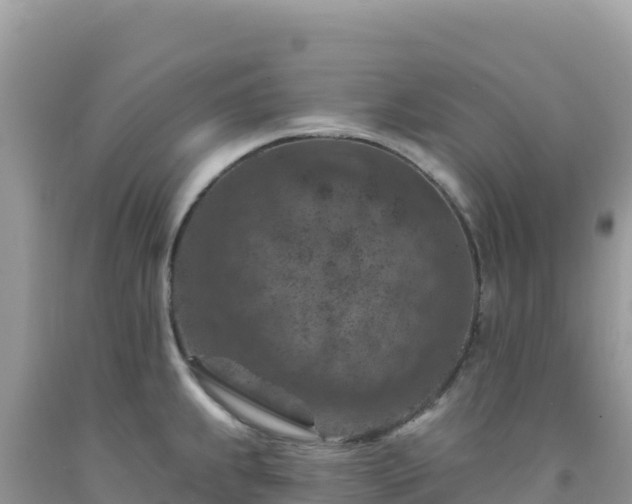 X0000092031239200709131612