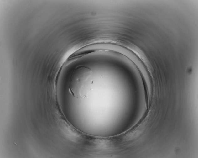 X0000092031242200709131612
