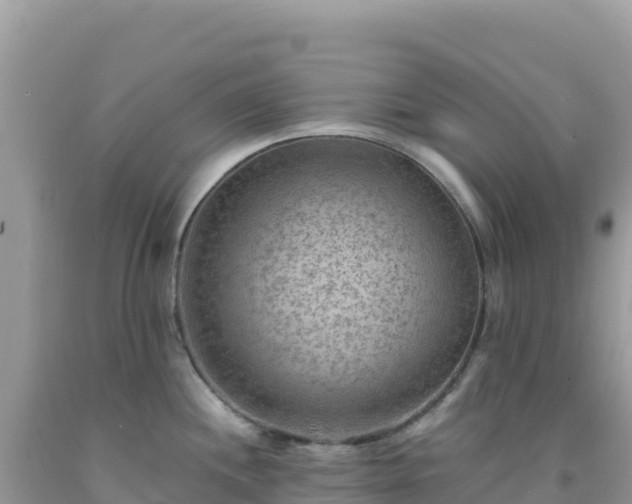 X0000092031244200709131612