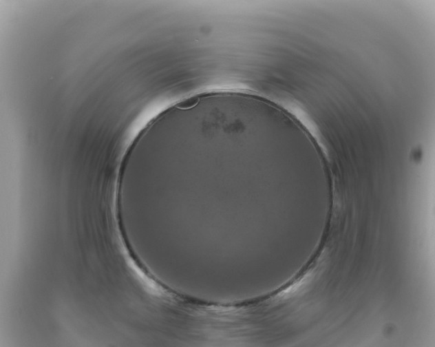 X0000092031245200709131613