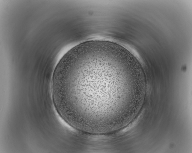 X0000092031247200709131613