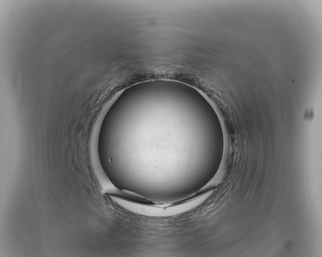 X0000092031249200709131612