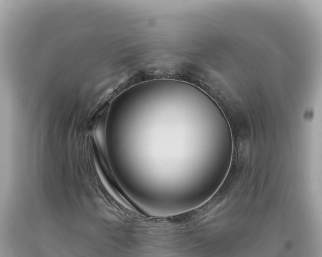 X0000092031250200709131612