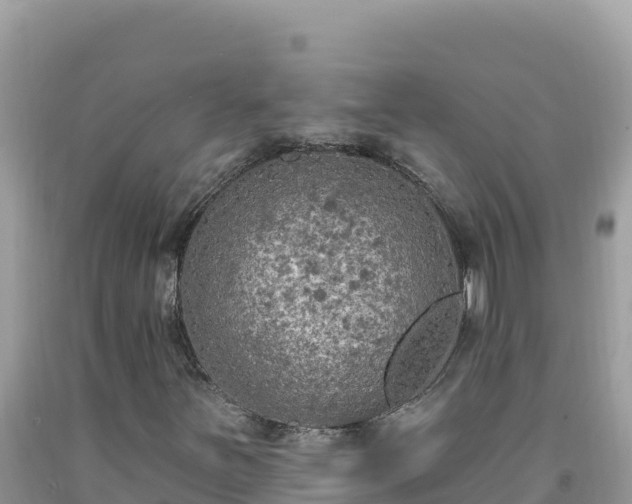 X0000092031251200709131612