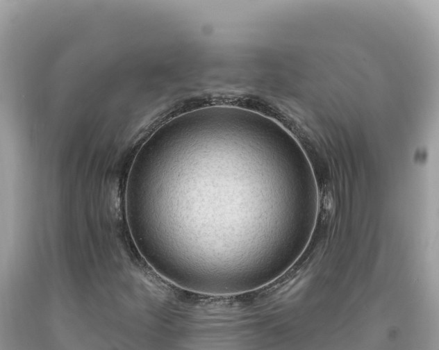 X0000092031252200709131612
