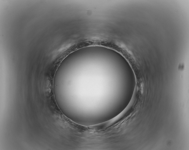 X0000092031253200709131612
