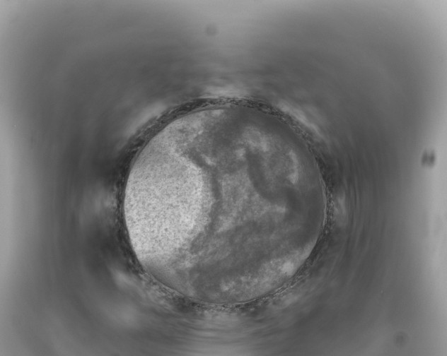 X0000092031254200709131612