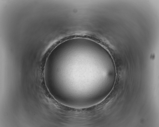 X0000092031256200709131612