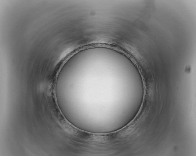 X0000092031258200709131612