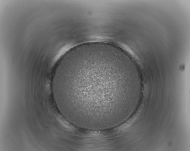 X0000092031259200709131612