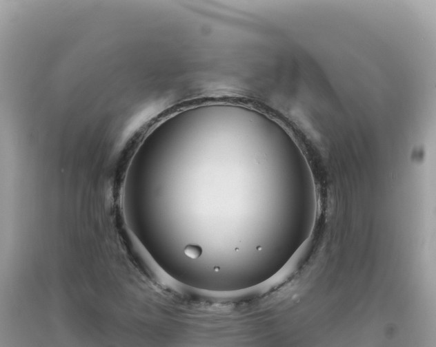 X0000092031261200709131612