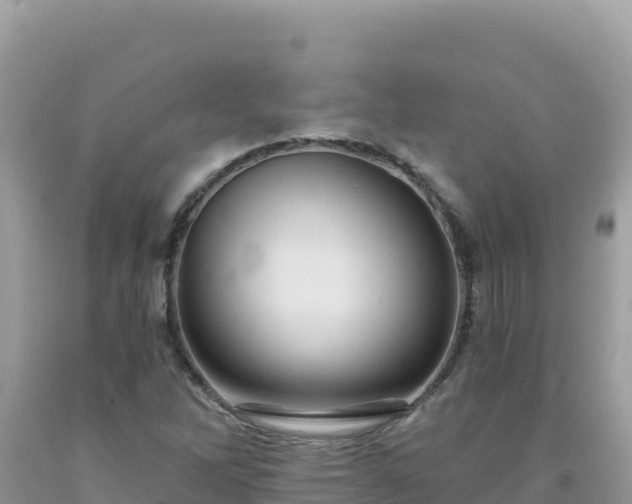 X0000092031262200709131612